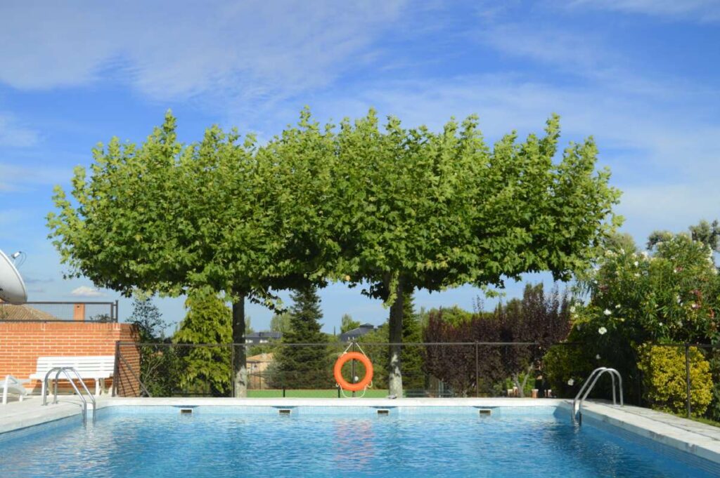 Effective Communication with Clients in the Pool Route Business